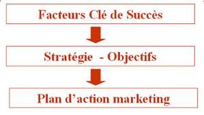 Du choix de la stratégie au plan marketing